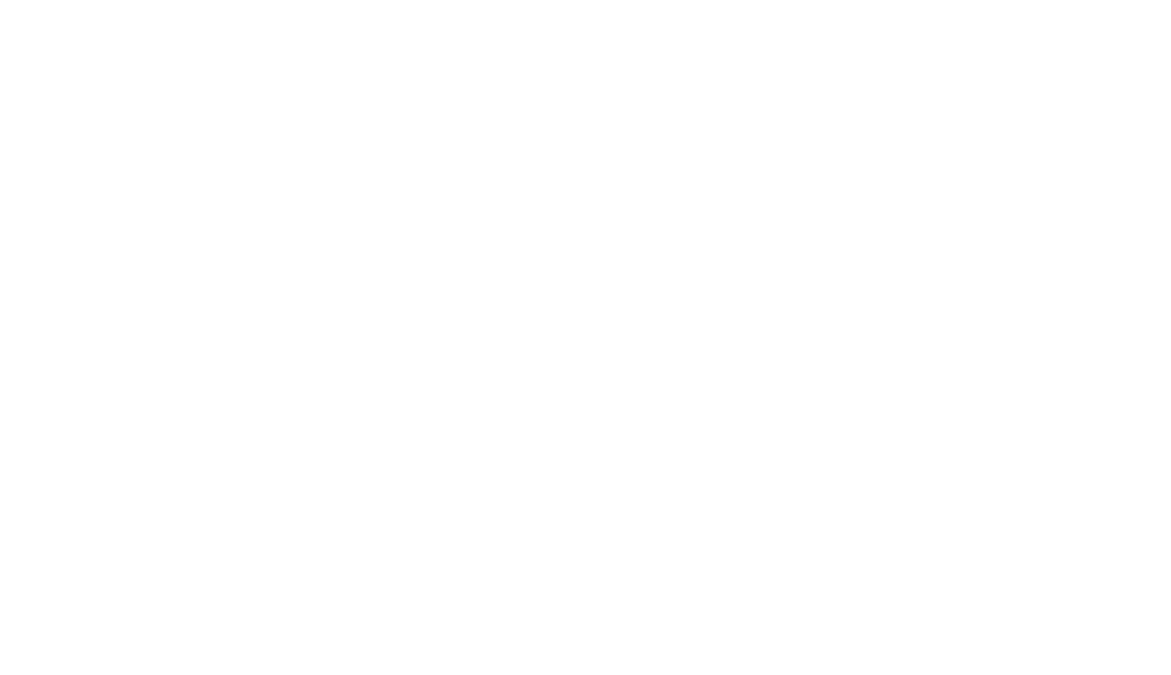 Intro Media